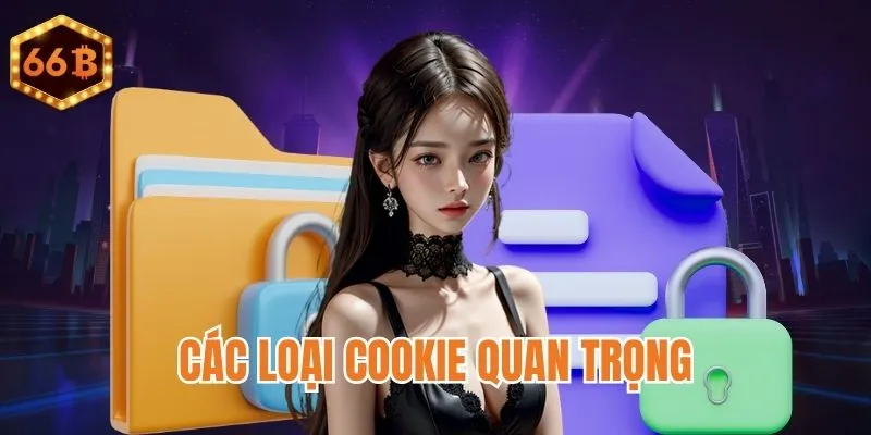 Chính sách cookie và cách hoạt động của từng loại 